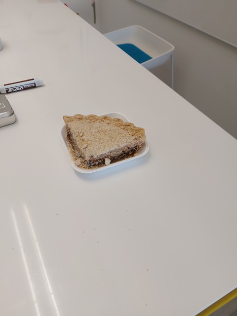 20231013 101537 - Rik Brought Pie - Shoefly