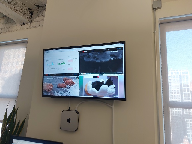 20231017 090853 - Support Team Tv - Stats And Cats