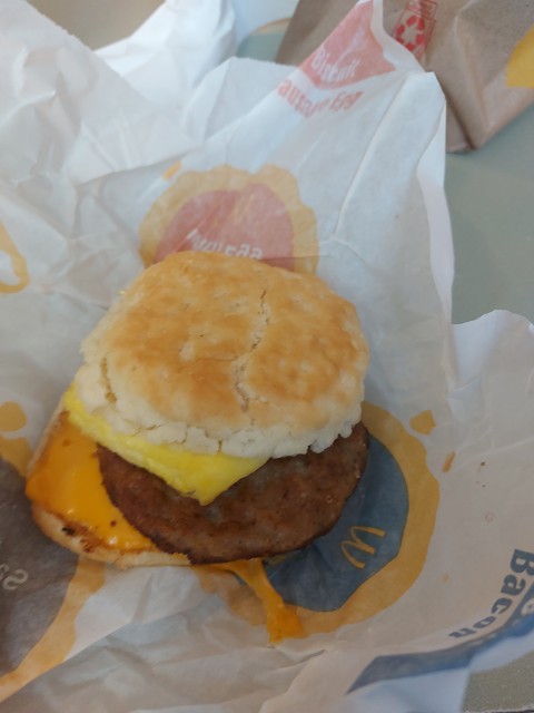 20231022 095749 - McDonalds Sausage, Egg And Cheese Biscuit... I Didn't Like It Much