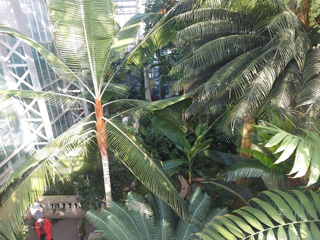 20231022 160346 - Botanic Gardens