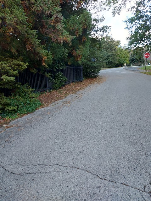20231015 165958 - Groundhog Near Fence